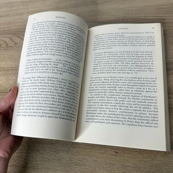 The Scarlet Letter by Nathaniel Hawthorne Barnes & Noble Classics - Picture 2 of 4